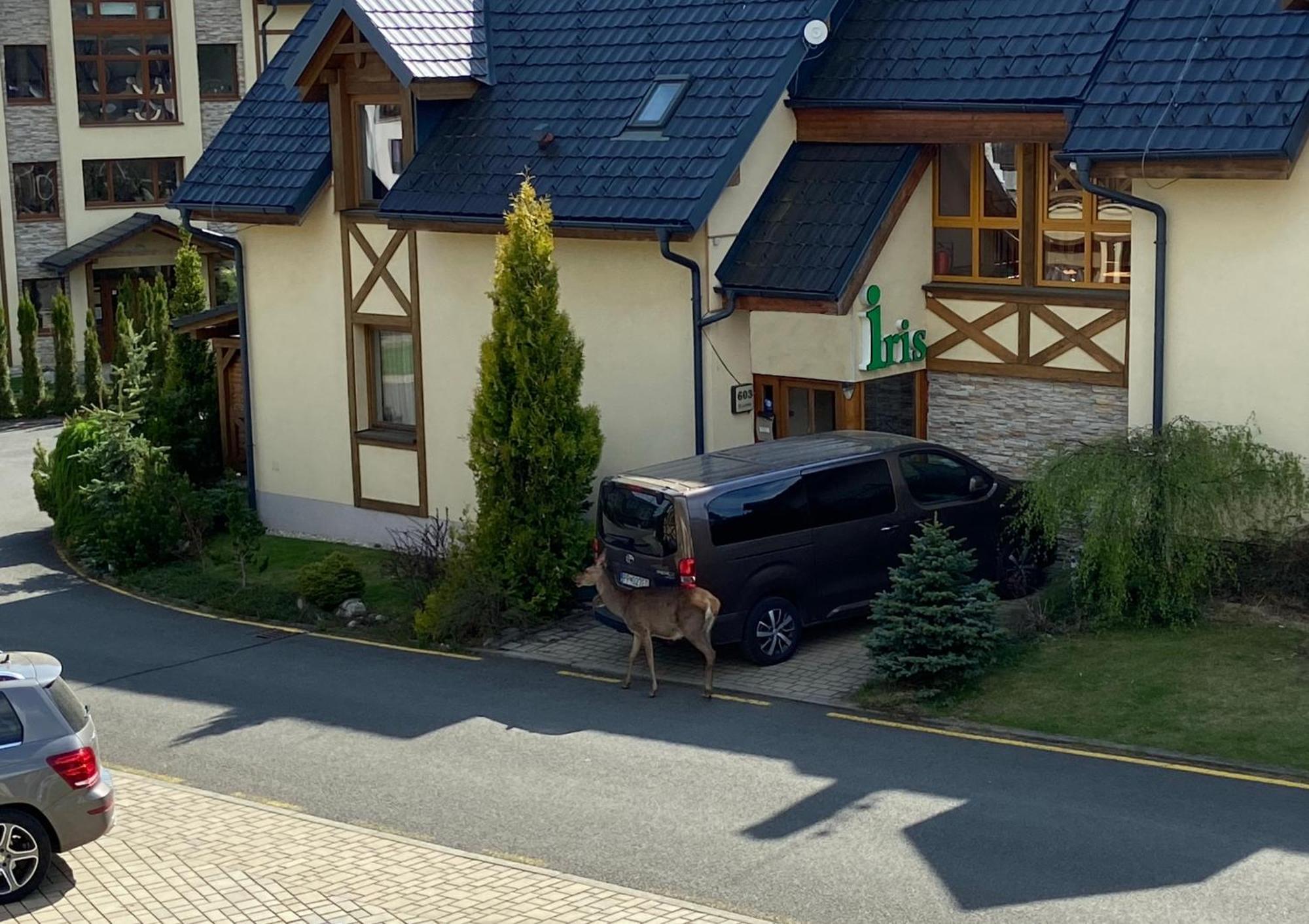 Apartments Iris Stara Lesna Exterior foto